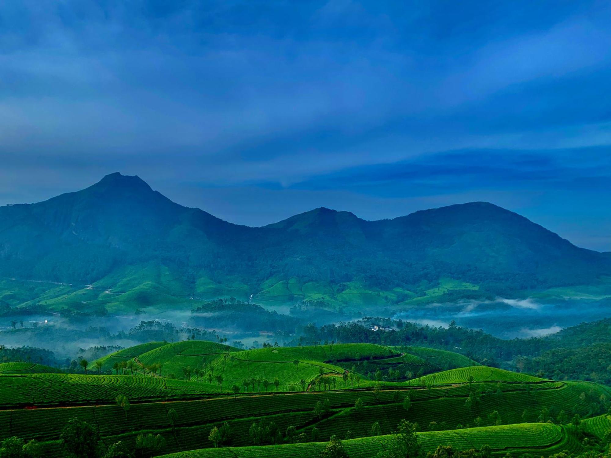 Lockhart Bungalow Munnar - A Cgh Earth Saha Experience Екстер'єр фото