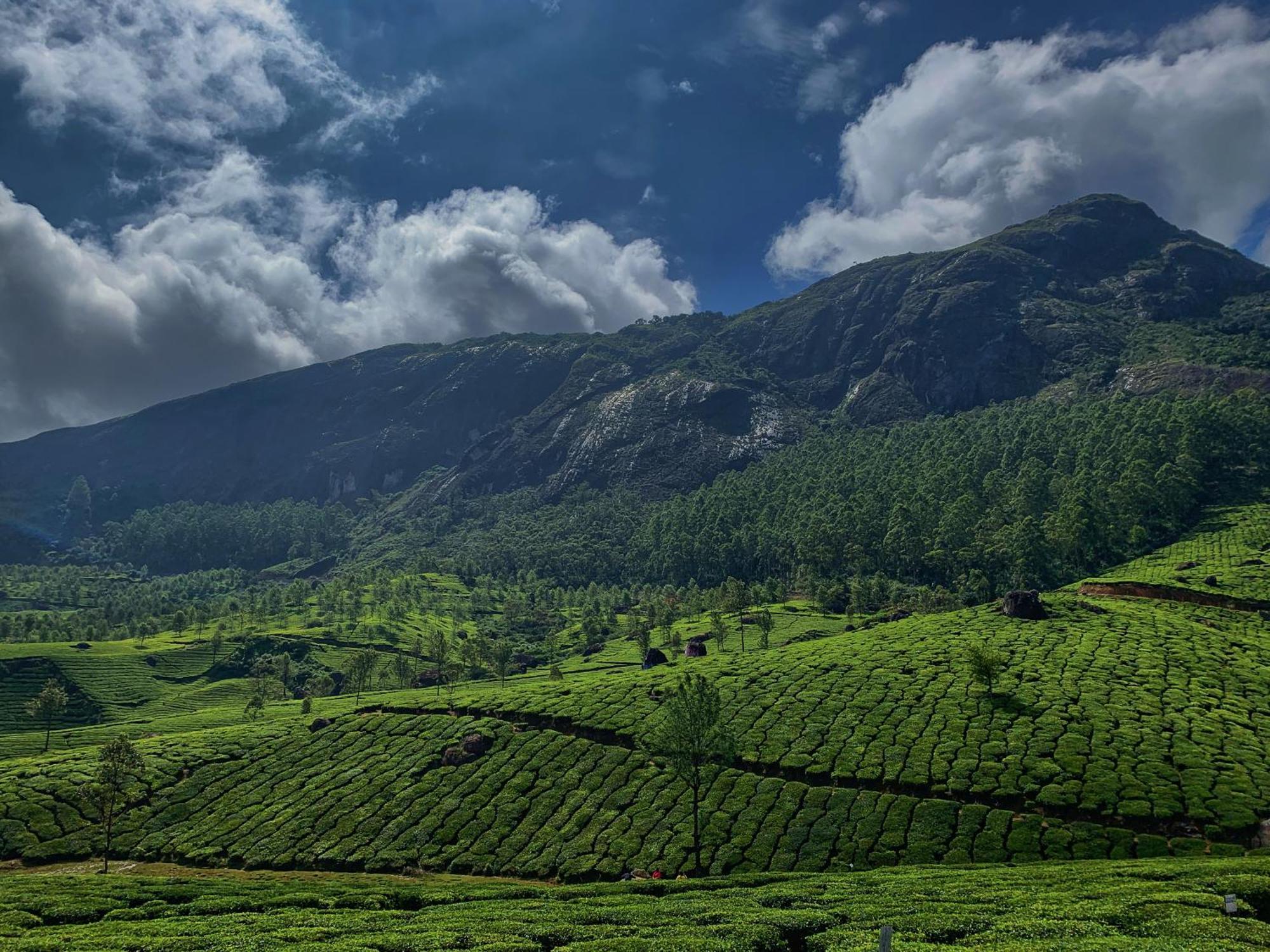 Lockhart Bungalow Munnar - A Cgh Earth Saha Experience Екстер'єр фото