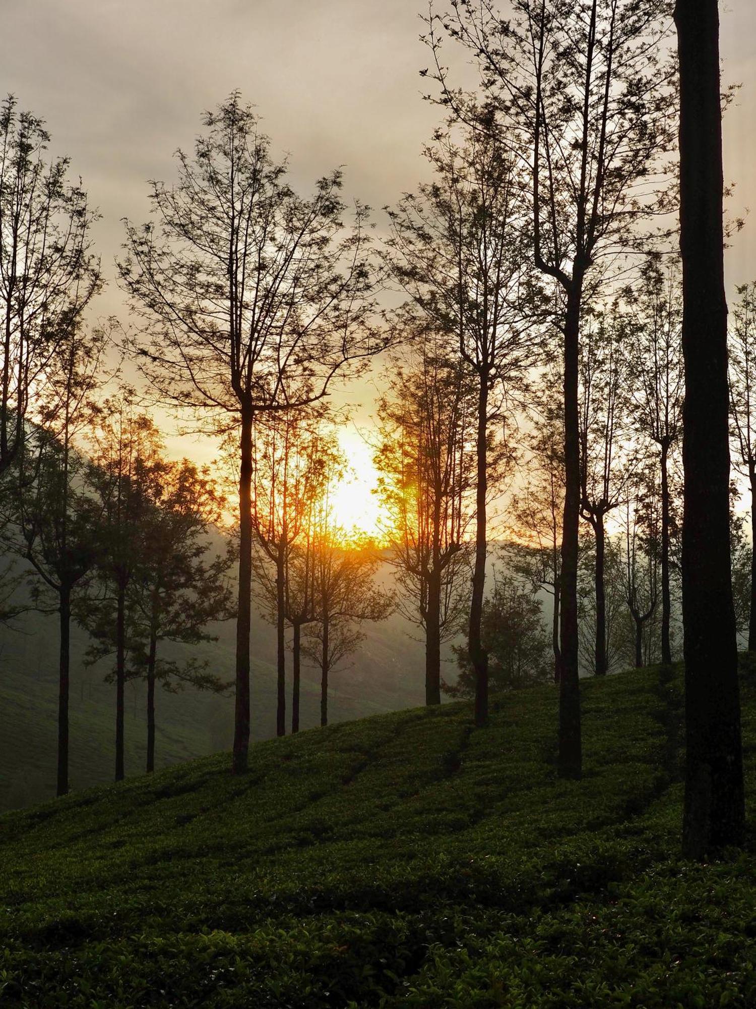Lockhart Bungalow Munnar - A Cgh Earth Saha Experience Екстер'єр фото