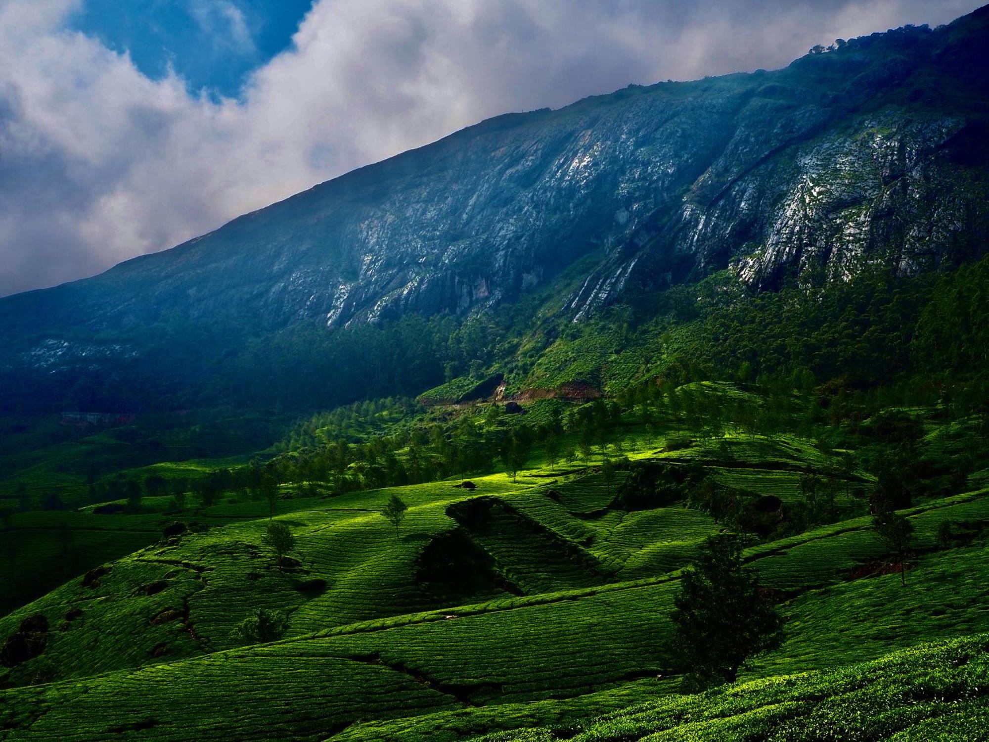 Lockhart Bungalow Munnar - A Cgh Earth Saha Experience Екстер'єр фото